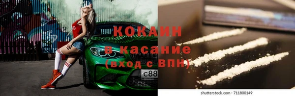 шишки Абаза