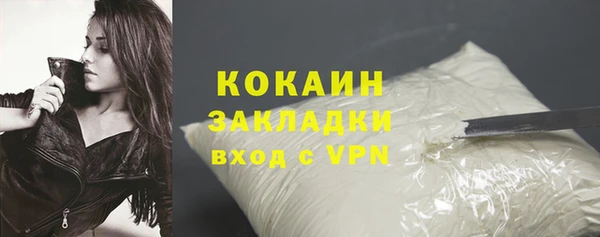 шишки Абаза