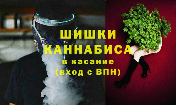 шишки Абаза