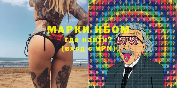 шишки Абаза