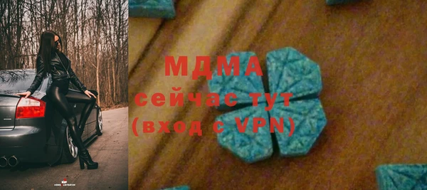 шишки Абаза