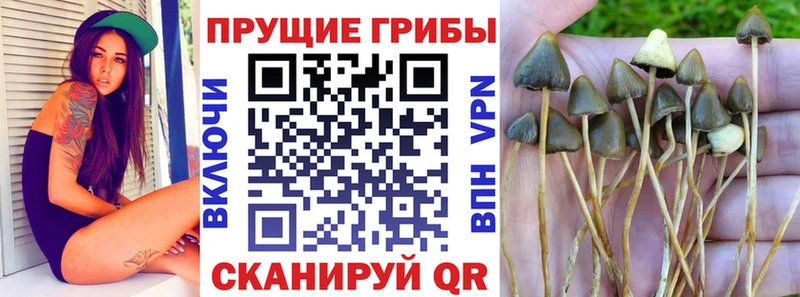 маркетплейс как зайти  Зарайск  Галлюциногенные грибы Magic Shrooms 